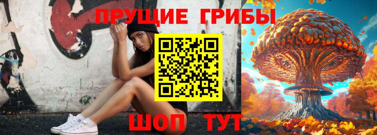 Галлюциногенные грибы Psilocybine cubensis  купить  сайты  Унеча  Вход с VPN  Галлюциногенные грибы прущие грибы 